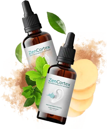 ZenCortex